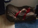 Thumbnail image of 2007_11050057.JPG