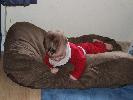 Thumbnail image of 2007_11050060.JPG