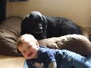 Thumbnail image of 2007_11050062.JPG