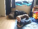 Thumbnail image of 2007_11050063.JPG