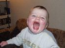 Thumbnail image of 2007_11050071.JPG