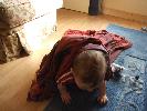 Thumbnail image of 2007_11050075.JPG