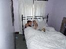 Thumbnail image of 2007_11050090.JPG
