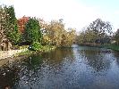 Thumbnail image of 2007_11050100.JPG