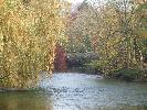 Thumbnail image of 2007_11050108.JPG