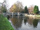 Thumbnail image of 2007_11050110.JPG