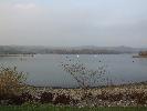 Thumbnail image of 2007_11050121.JPG