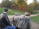 Thumbnail image of 2007_11050127.JPG