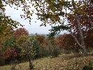 Thumbnail image of 2007_11050135.JPG