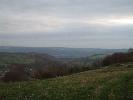 Thumbnail image of 2007_11050137.JPG