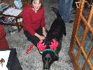 Thumbnail image of 2007_12160193.JPG