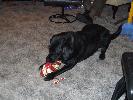Thumbnail image of 2007_12260022.JPG