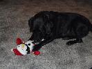 Thumbnail image of 2007_12260029.JPG
