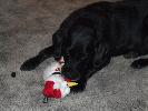 Thumbnail image of 2007_12260031.JPG