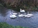 Thumbnail image of 2006_12310001.JPG