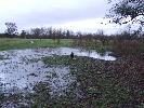 Thumbnail image of 2006_12310006.JPG