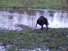 Thumbnail image of 2006_12310011.JPG