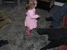 Thumbnail image of 2006_12310023.JPG