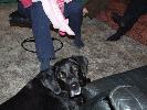 Thumbnail image of 2006_12310055.JPG