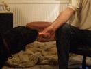 Thumbnail image of 2006_12310063.JPG