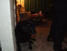 Thumbnail image of 2006_12310065.JPG