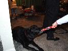 Thumbnail image of 2006_12310066.JPG