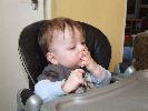 Thumbnail image of 2008_01150012.JPG