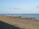 Thumbnail image of DSCF2096.JPG