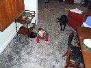 Thumbnail image of DSCF2102.JPG