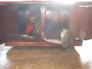 Thumbnail image of 2008_04100088.JPG