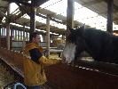 Thumbnail image of 2008_04100096.JPG