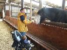 Thumbnail image of 2008_04100097.JPG