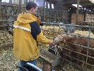 Thumbnail image of 2008_04100103.JPG