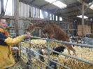 Thumbnail image of 2008_04100104.JPG
