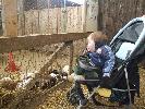 Thumbnail image of 2008_04100106.JPG