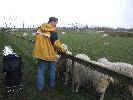 Thumbnail image of 2008_04100107.JPG