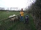 Thumbnail image of 2008_04100108.JPG