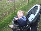 Thumbnail image of 2008_04100109.JPG