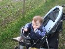 Thumbnail image of 2008_04100110.JPG