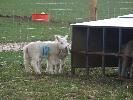 Thumbnail image of 2008_04100113.JPG