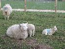 Thumbnail image of 2008_04100114.JPG