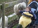 Thumbnail image of 2008_04100115.JPG