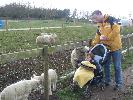Thumbnail image of 2008_04100116.JPG