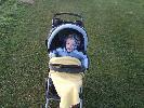 Thumbnail image of 2008_04100122.JPG