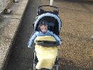 Thumbnail image of 2008_04100124.JPG