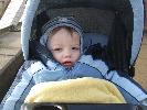 Thumbnail image of 2008_04100125.JPG