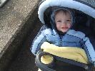 Thumbnail image of 2008_04100126.JPG