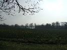 Thumbnail image of 2008_04100130.JPG