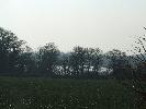 Thumbnail image of 2008_04100131.JPG