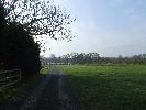 Thumbnail image of 2008_04100133.JPG